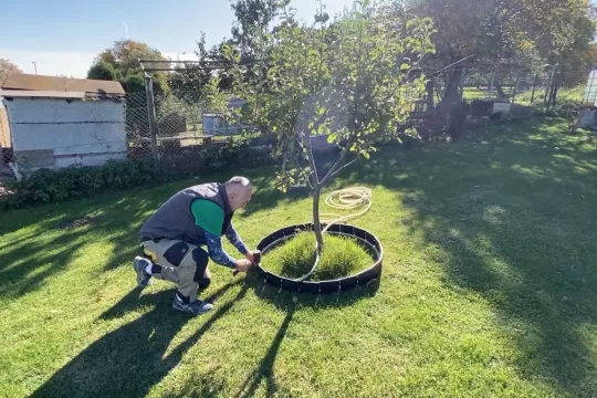 APLIKÁCIA PLASTOVÉHO OBRUBNÍKU